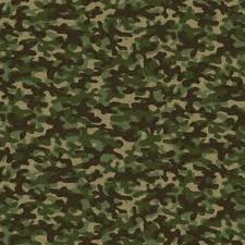Desert Camo Fabric